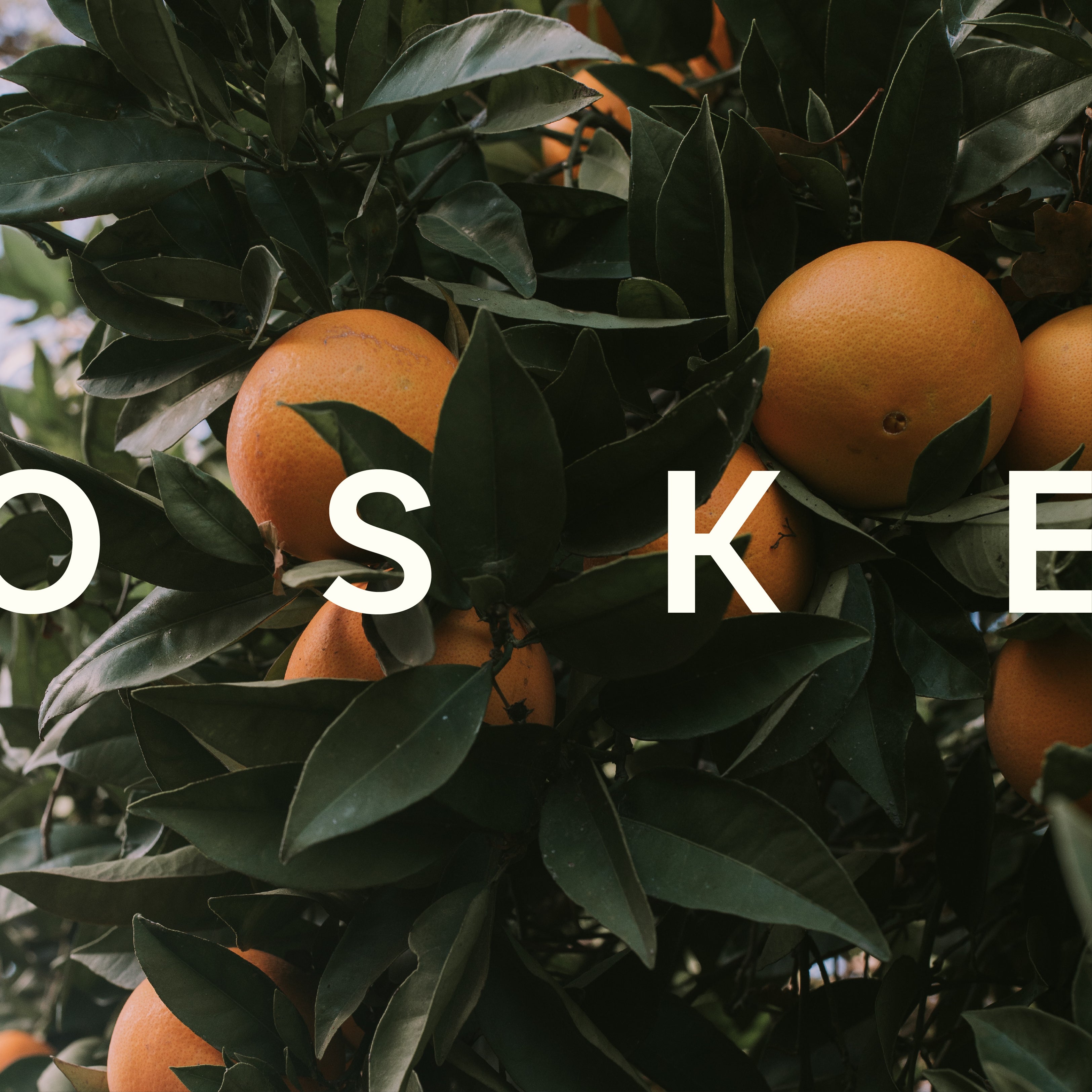 OSKE Article: pHantastic - the importance of pH-Balance